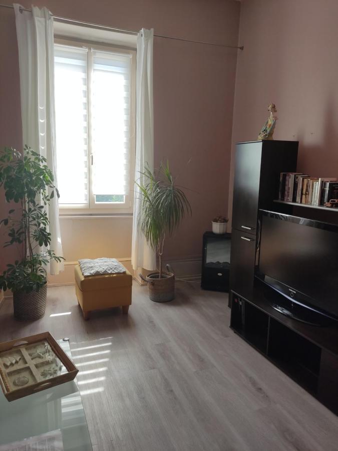 Gite Chanay 80 M2 Tournus 2 Chambres Dış mekan fotoğraf